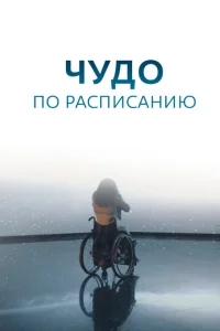 Чудо по расписанию Чудо по расписанию