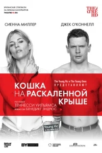 Кошка на раскалённой крыше Кошка на раскалённой крыше