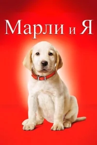 Марли и я Марли и я