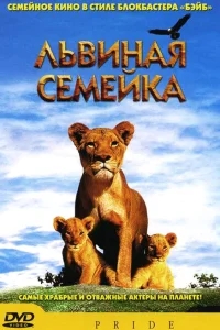 Львиная семейка Львиная семейка