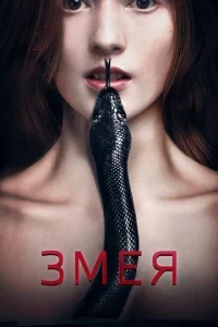 Змея Змея
