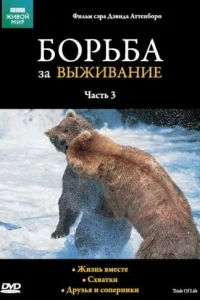 BBC: Борьба за выживание BBC: Борьба за выживание