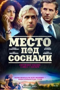 Место под соснами Место под соснами