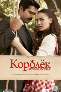 Королёк – птичка певчая Королёк – птичка певчая