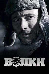 Волки Волки
