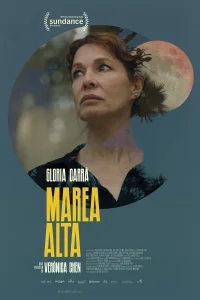 Прилив Прилив
