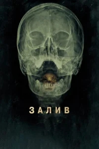 Залив Залив