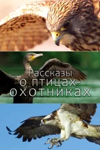 Рассказы о птицах-охотниках Рассказы о птицах-охотниках