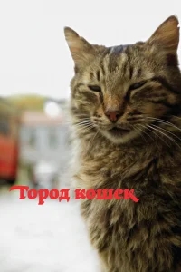 Город кошек Город кошек