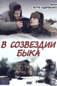 В созвездии быка В созвездии быка