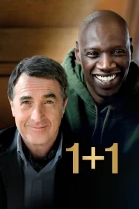 1+1 1+1