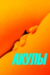 Акулы Акулы