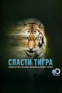 Спасти тигра Спасти тигра