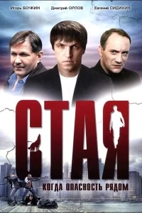 Стая Стая