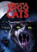 Ночь 1000 котов Ночь 1000 котов
