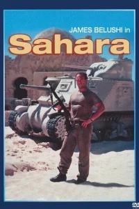 Сахара Сахара
