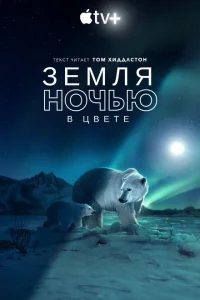 Земля ночью в цвете Земля ночью в цвете
