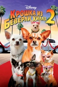 Крошка из Беверли-Хиллз 2 Крошка из Беверли-Хиллз 2