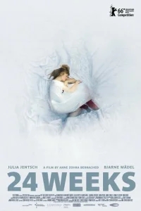 24 недели 24 недели