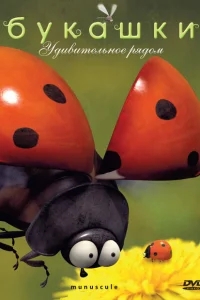 Букашки Букашки
