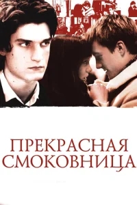 Прекрасная смоковница Прекрасная смоковница