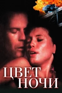 Цвет ночи Цвет ночи