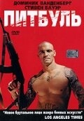 Питбуль Питбуль