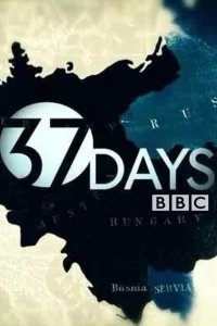 37 дней 37 дней