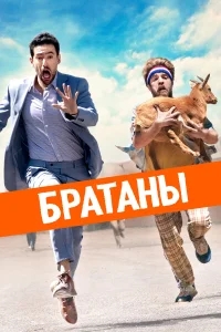 Сводные братья Сводные братья