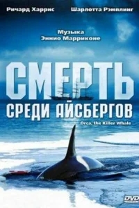 Смерть среди айсбергов Смерть среди айсбергов