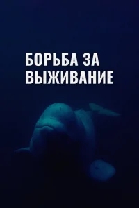Борьба за выживание Борьба за выживание