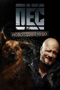 Новогодний пёс Новогодний пёс