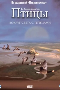 Птицы Птицы
