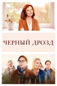 Чёрный дрозд Чёрный дрозд
