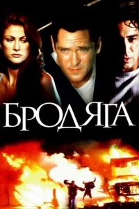 Бродяга Бродяга