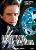 Цветок у дороги Цветок у дороги