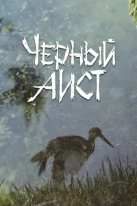 Черный аист Черный аист