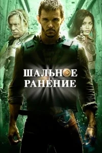 Шальное ранение Шальное ранение
