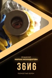 36и6 36и6