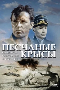 Крысы пустыни Крысы пустыни
