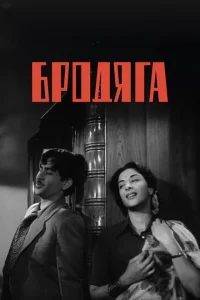 Бродяга Бродяга