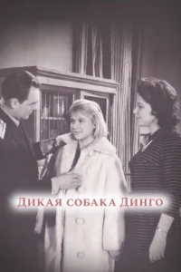 Дикая собака динго Дикая собака динго