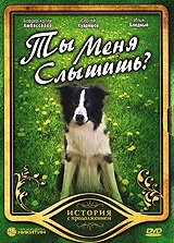 Ты меня слышишь? Ты меня слышишь?