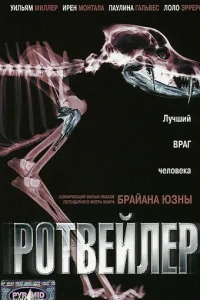 Ротвейлер Ротвейлер
