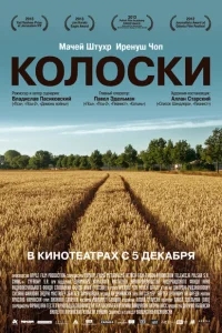 Колоски Колоски
