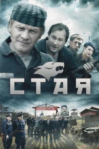 Стая Стая
