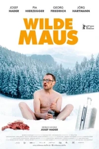 Дикая мышь Дикая мышь