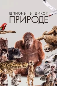 Шпионы в дикой природе Шпионы в дикой природе