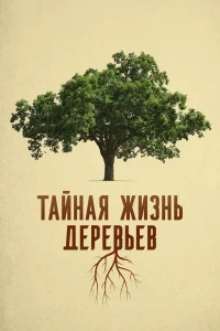 Деревья: гении мира природы Деревья: гении мира природы