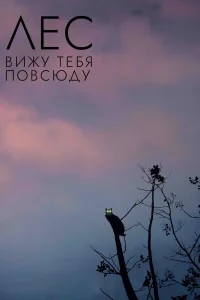 Лес: Вижу тебя повсюду Лес: Вижу тебя повсюду